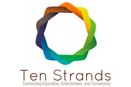 Ten Strands Logo