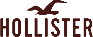 Full Hollister brown logo